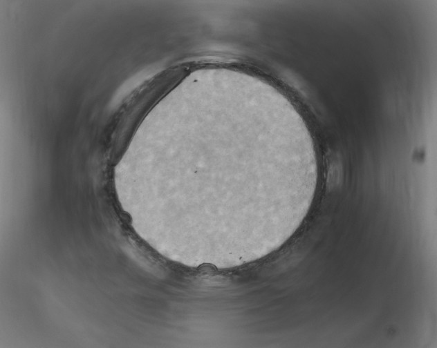 X0000115561448200912181605