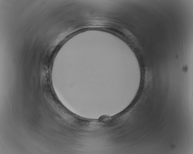 X0000115561449200912181605