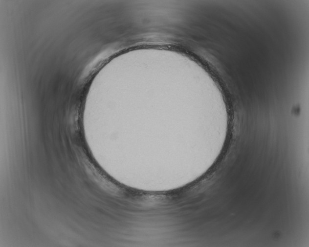 X0000115561451200912181605