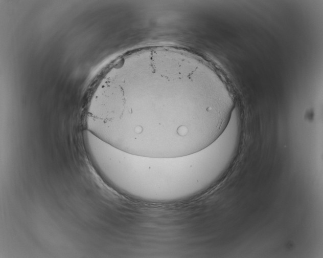 X0000115561452200912181605