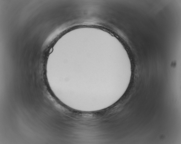 X0000115561456200912181605