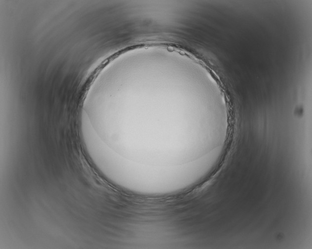 X0000115561457200912181605