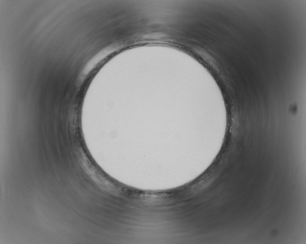 X0000115561458200912181605