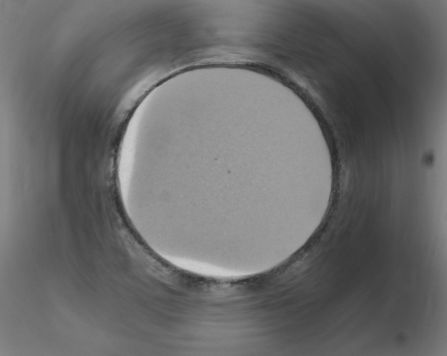 X0000115561459200912181605