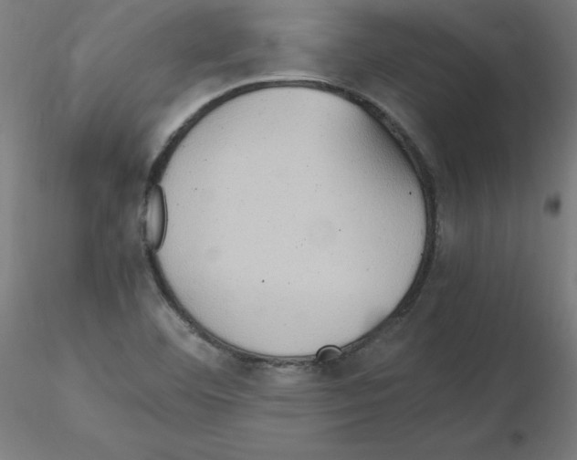 X0000115561460200912181605