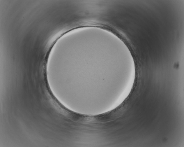 X0000115561463200912181605