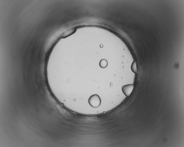 X0000115561464200912181605