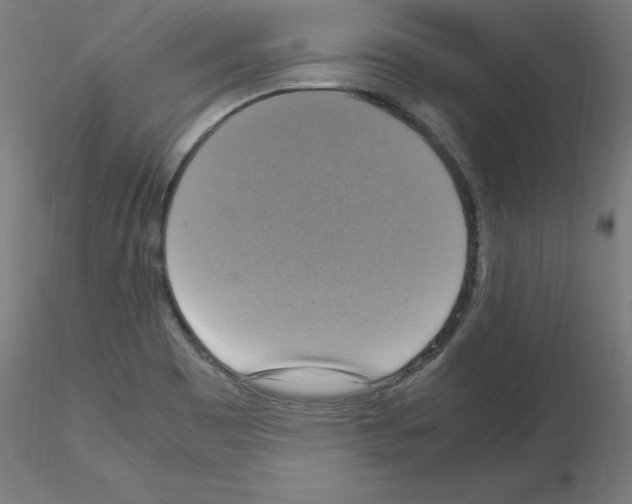 X0000115561465200912181605