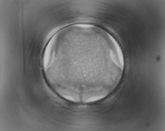 X0000115561467200912181605