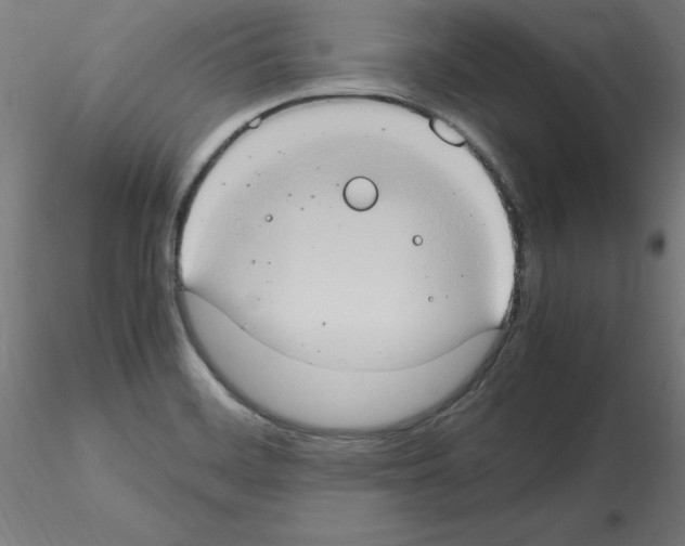 X0000115561468200912181605