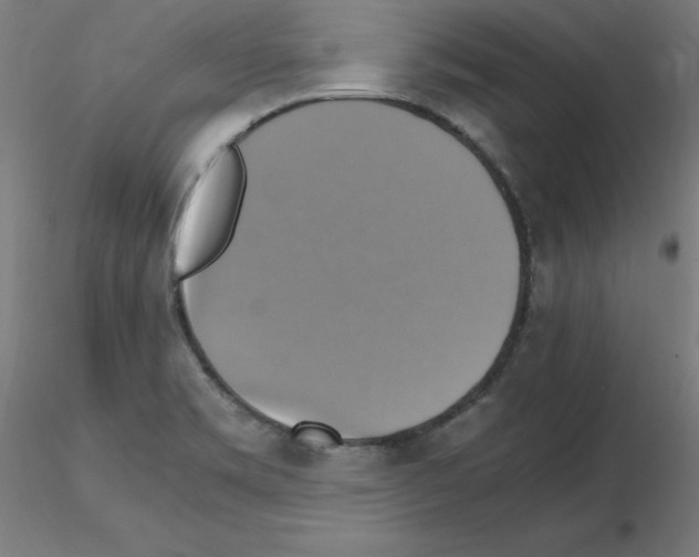 X0000115561469200912181605