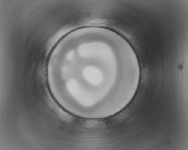 X0000115561470200912181605