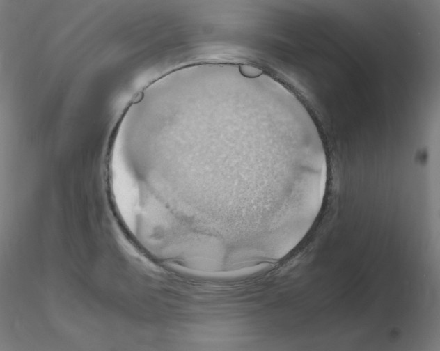 X0000115561471200912181605