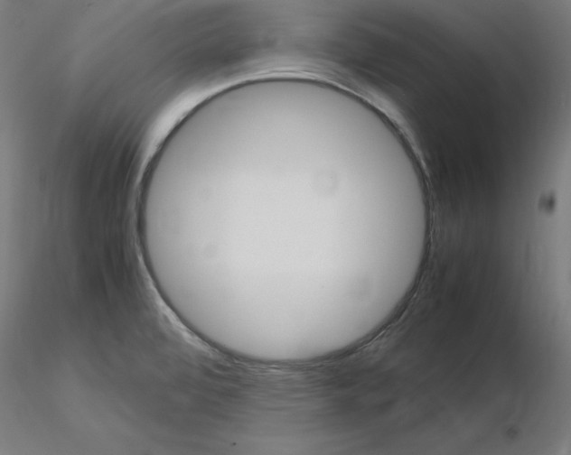 X0000115561472200912181605