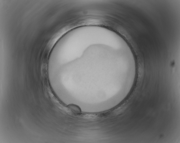 X0000115561473200912181605