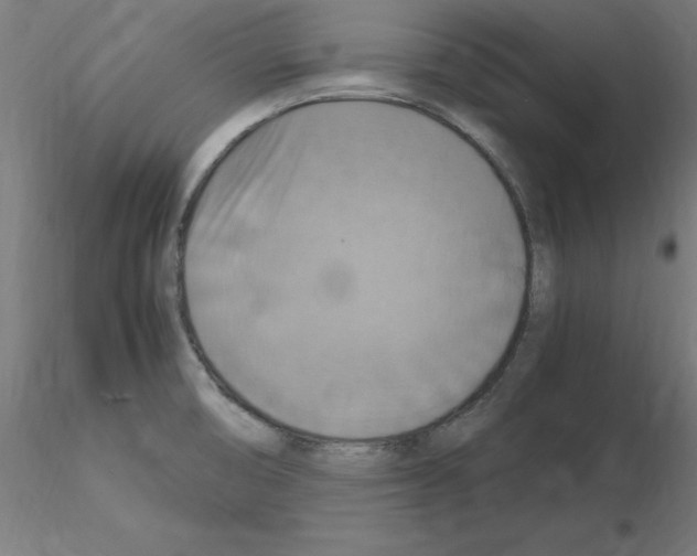 X0000115561474200912181605