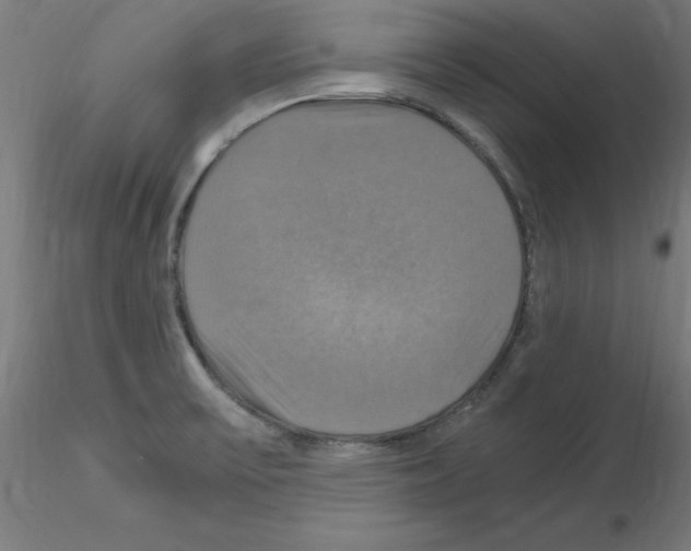 X0000115561475200912181605