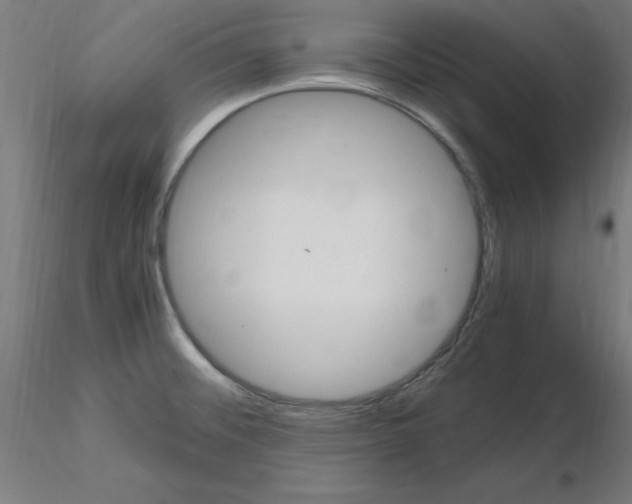 X0000115561476200912181605