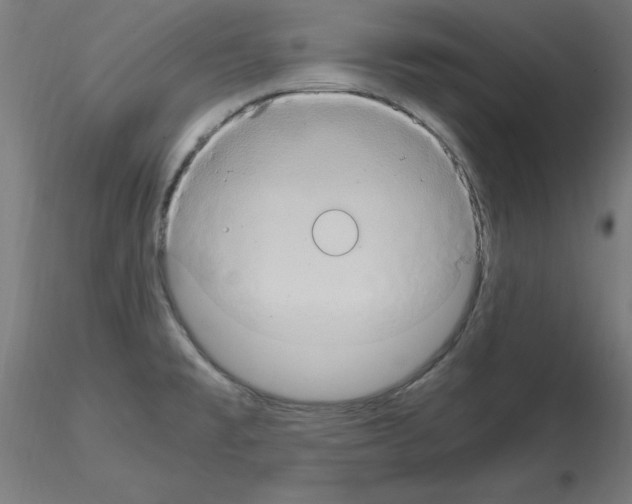 X0000115561477200912181605