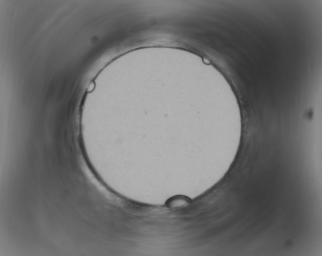 X0000115561479200912181605