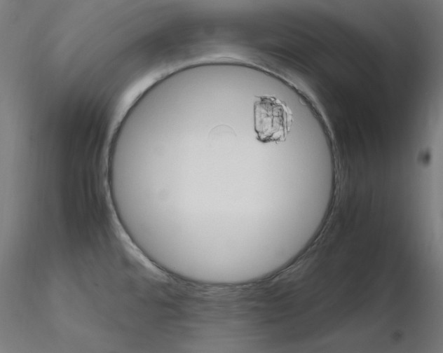 X0000115561480200912181605