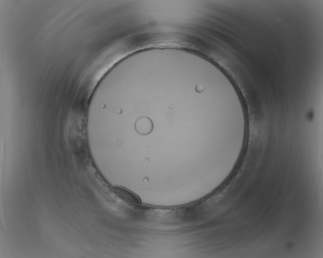 X0000115561481200912181605