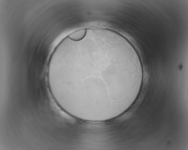 X0000115561486200912181605