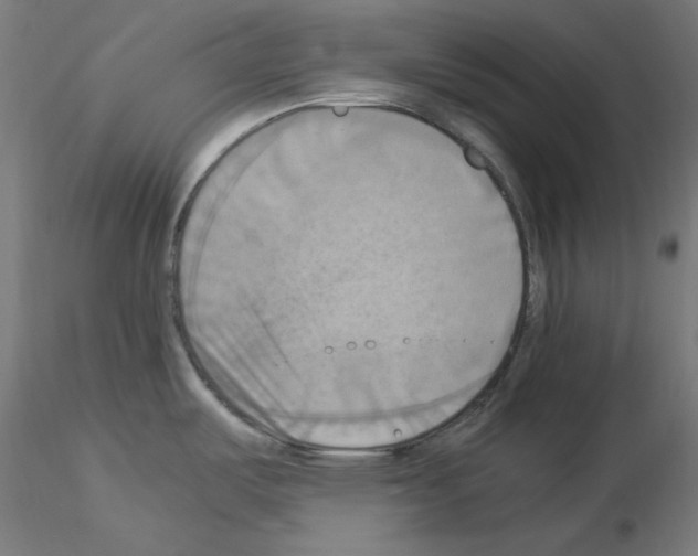 X0000115561487200912181605