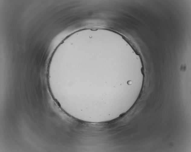 X0000115561488200912181605