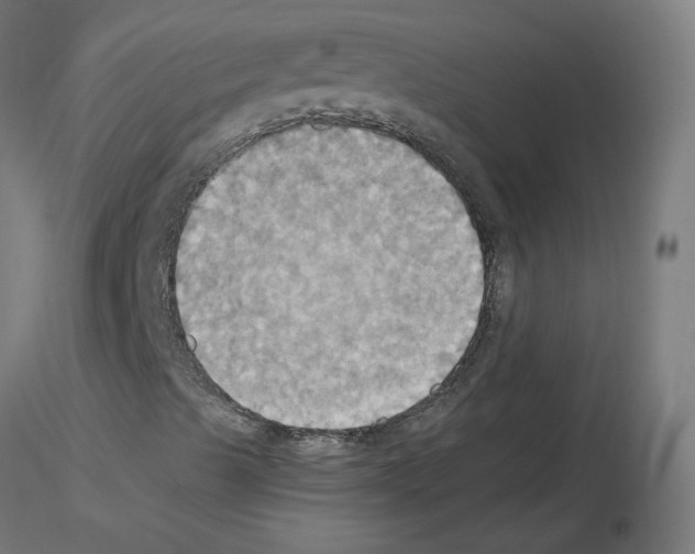 X0000115561489200912181604