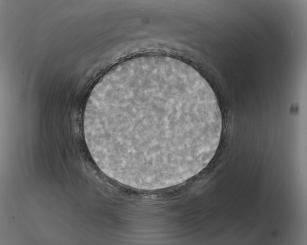 X0000115561490200912181604