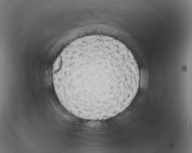 X0000115561491200912181604