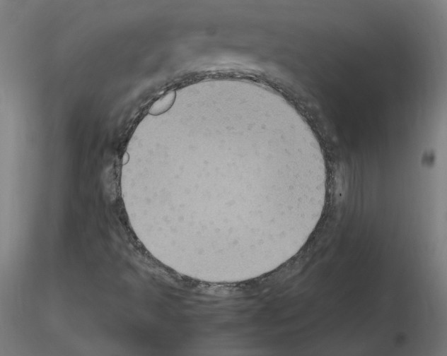 X0000115561493200912181604