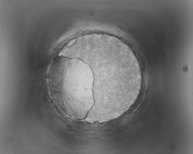 X0000115561494200912181604