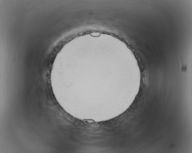 X0000115561495200912181604