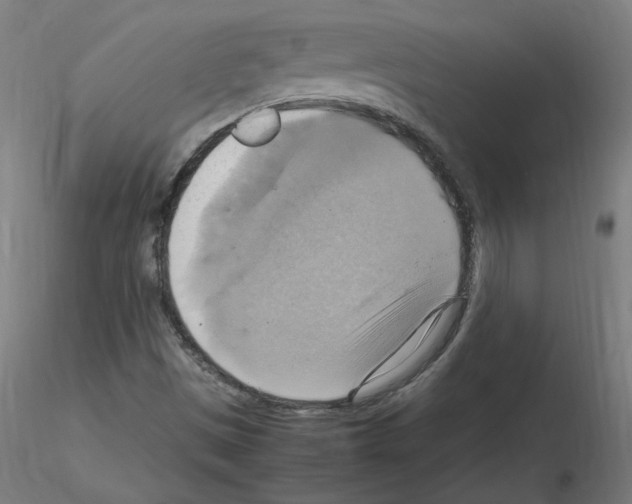 X0000115561497200912181604