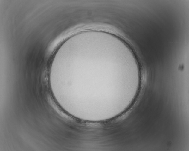 X0000115561498200912181604