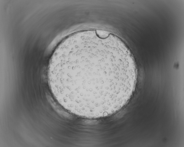 X0000115561499200912181604