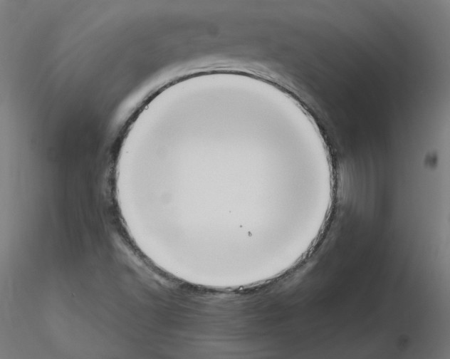 X0000115561502200912181604