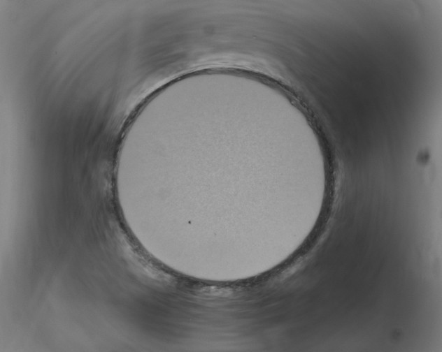 X0000115561505200912181604