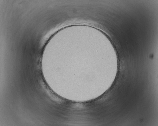 X0000115561507200912181604