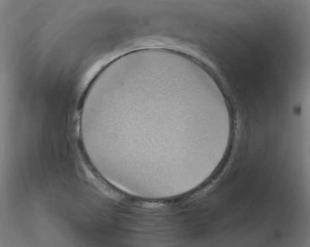 X0000115561509200912181604