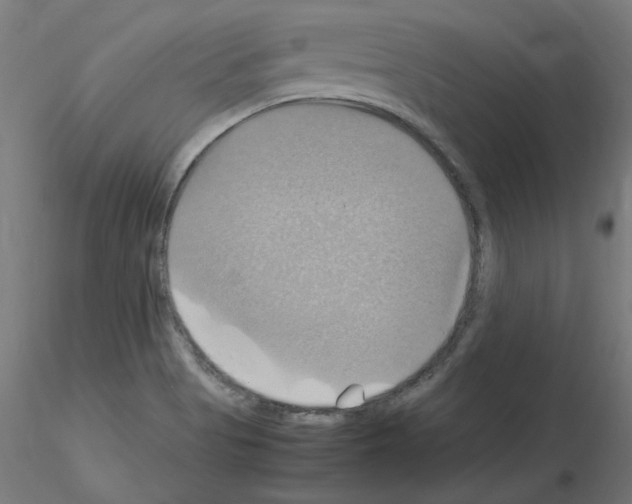 X0000115561513200912181604