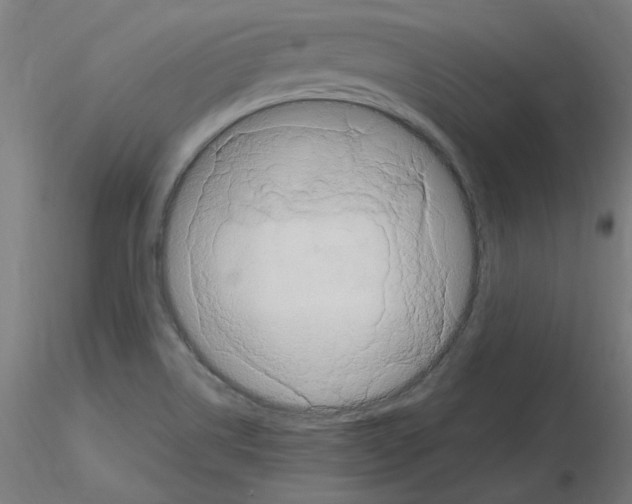 X0000115561514200912181604