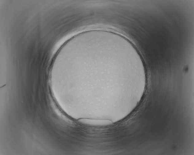 X0000115561515200912181604