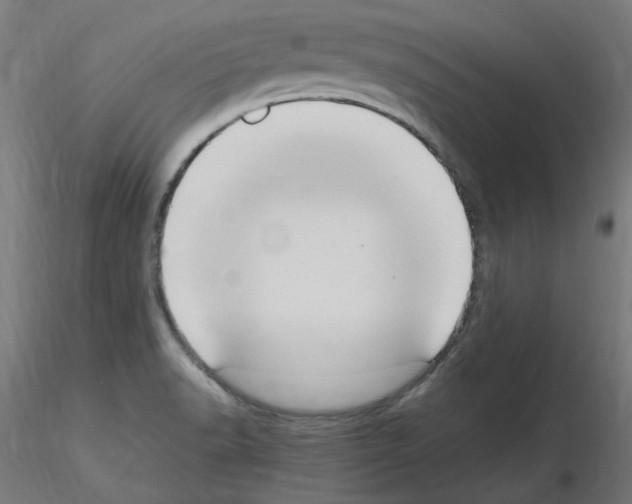 X0000115561518200912181605