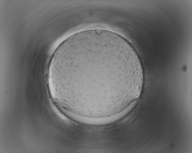 X0000115561519200912181605