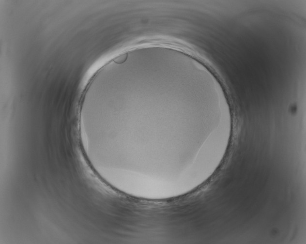 X0000115561522200912181605