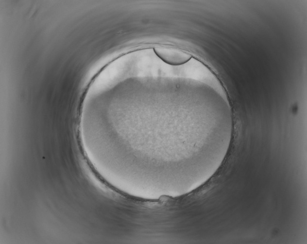 X0000115561523200912181605