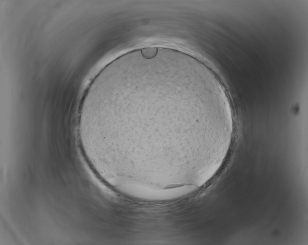 X0000115561525200912181605